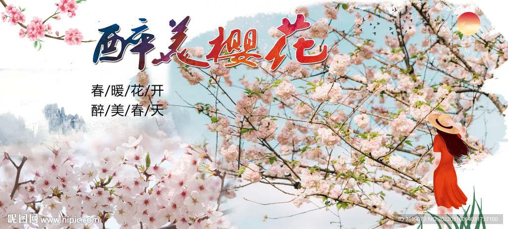樱花 