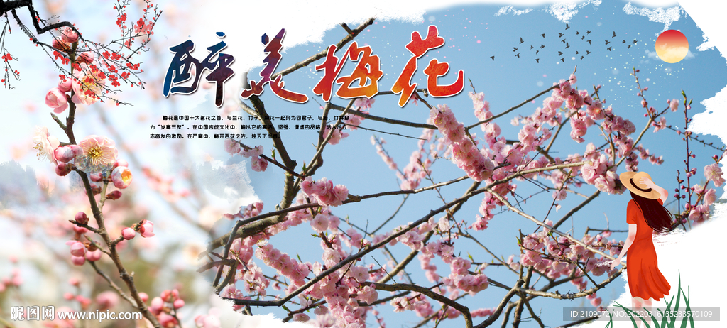 梅花  