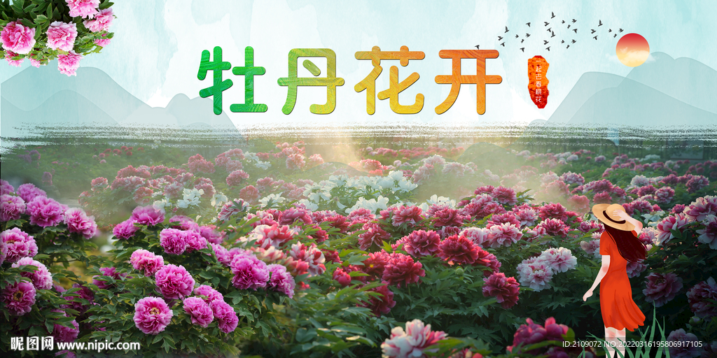 牡丹 