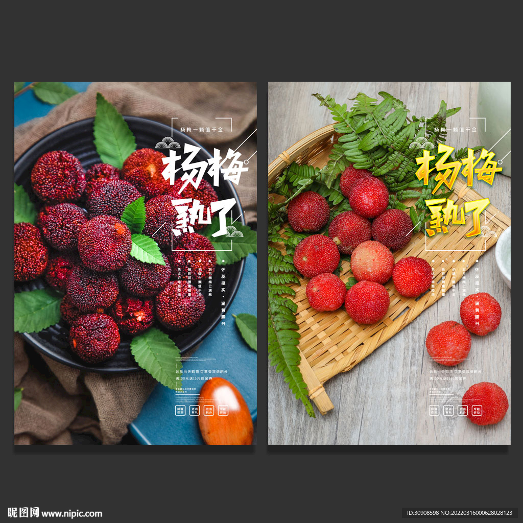 杨梅