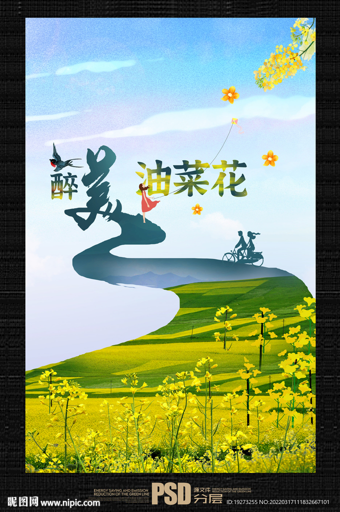 油菜花