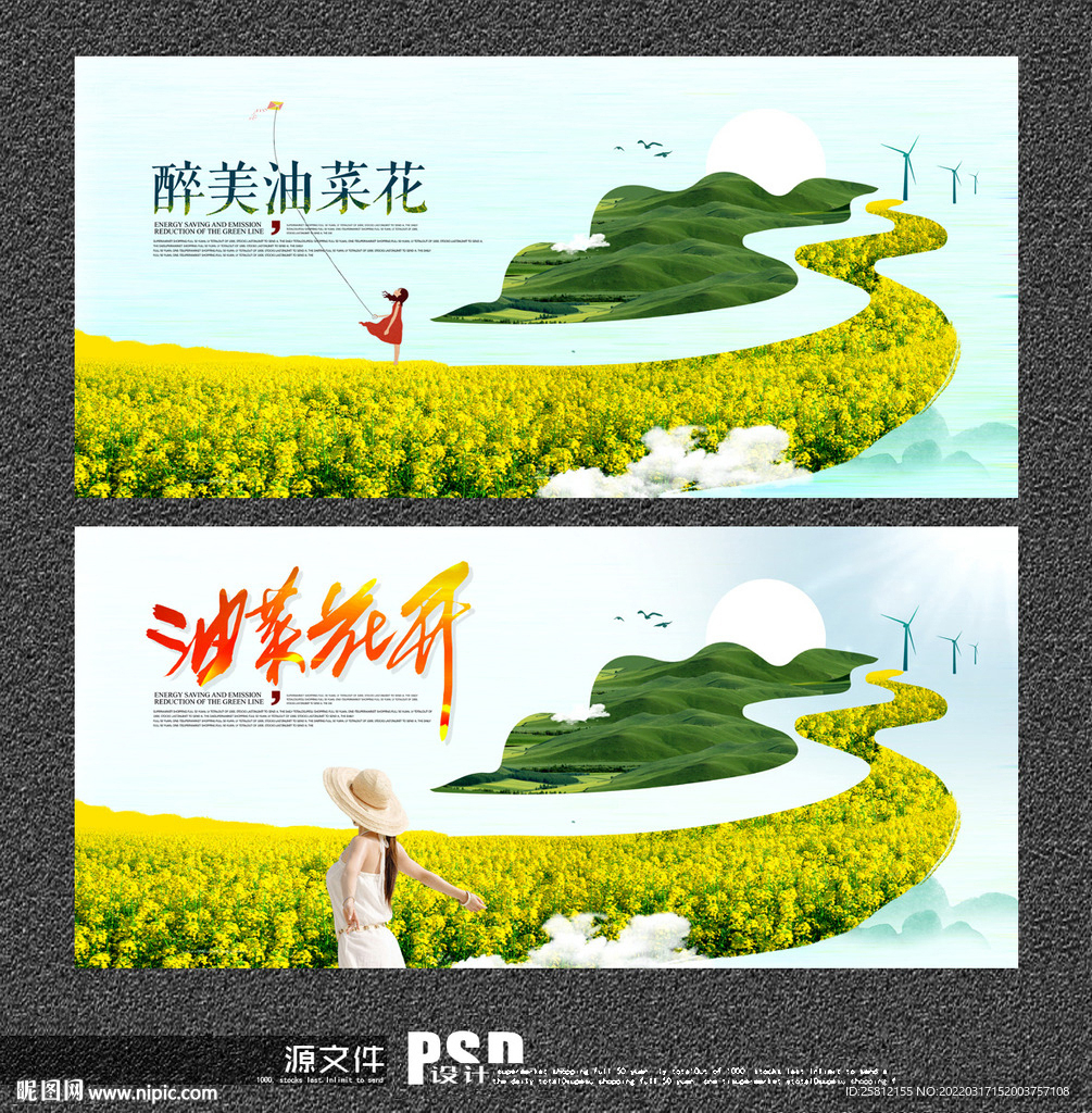 油菜花