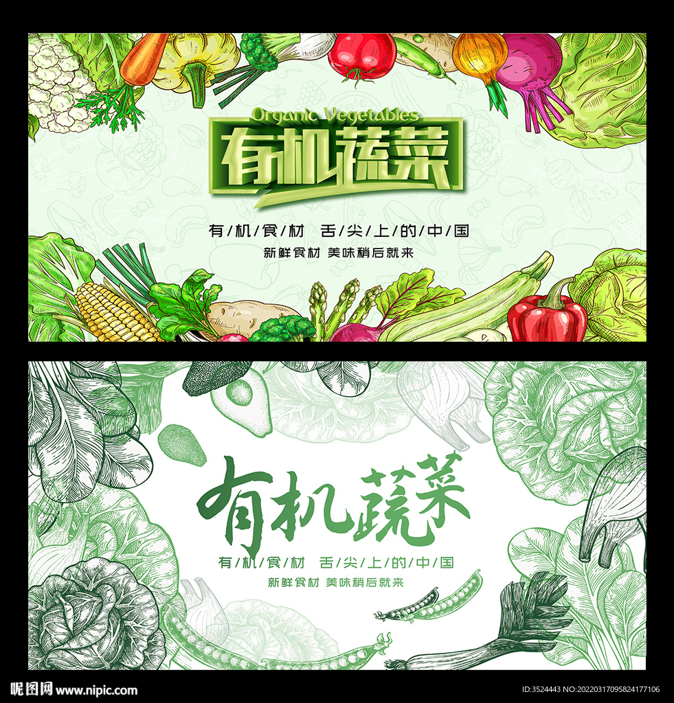 新鲜蔬菜展板设计