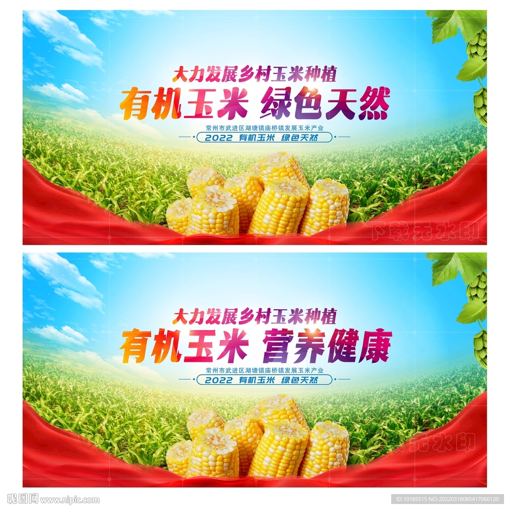 玉米