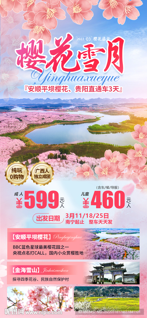 落樱缤纷贵州旅游海报