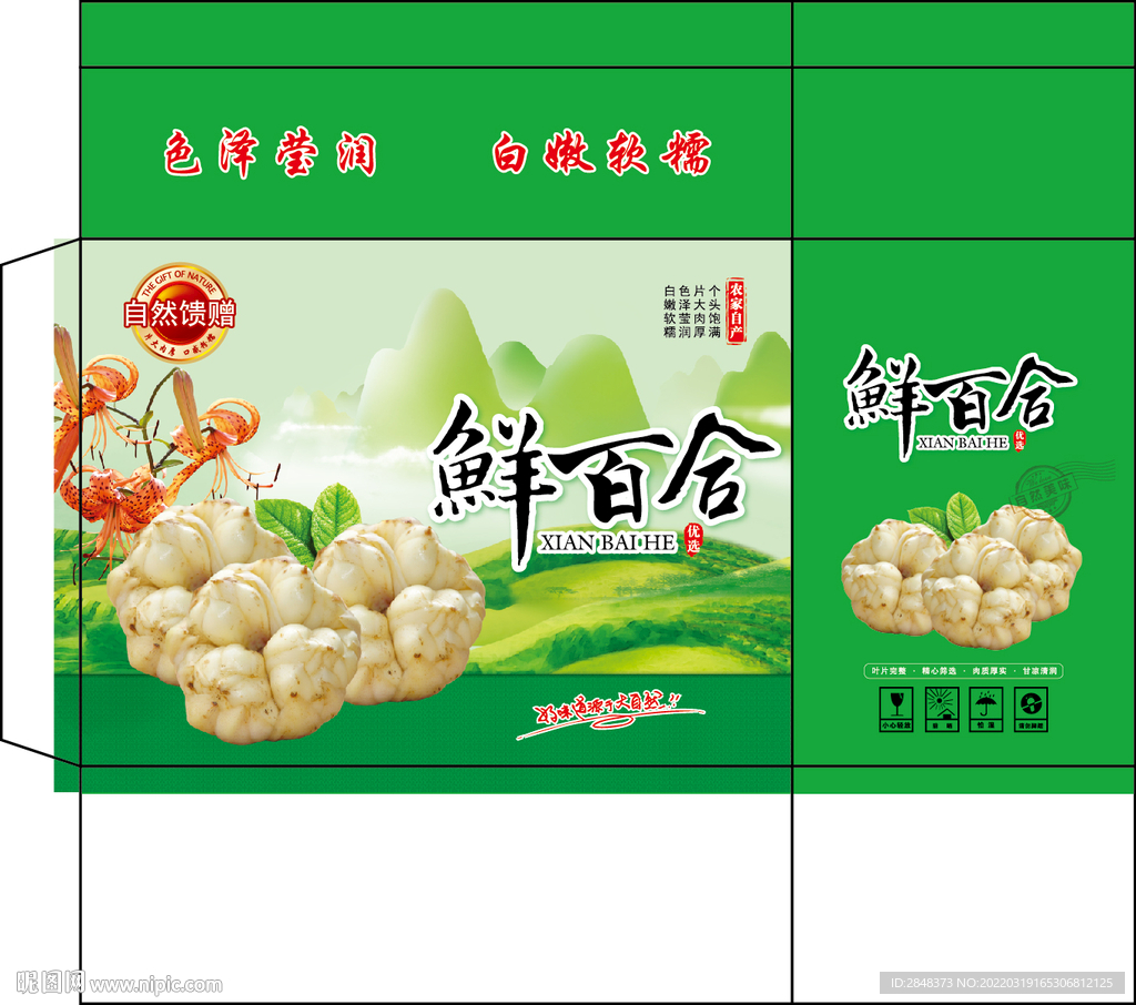 鲜百合包装平面展开图