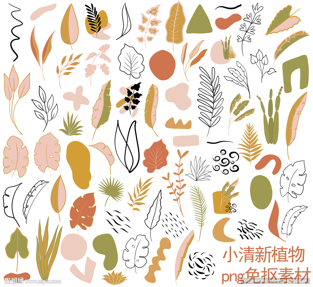 小清新植物素材