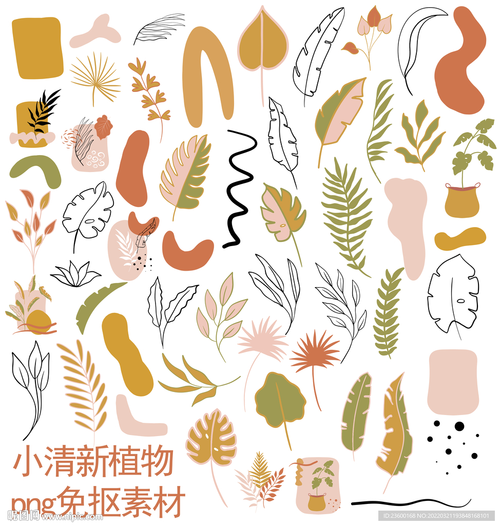 小清新植物素材