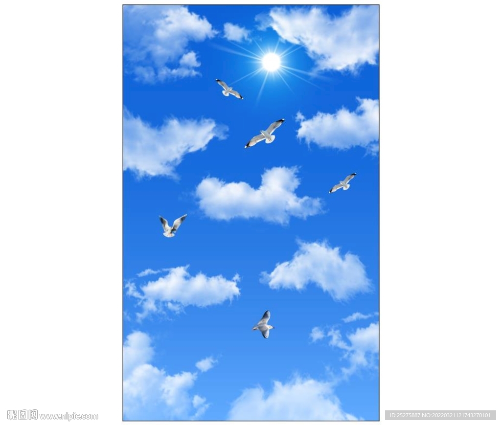 蓝天白云鸽子