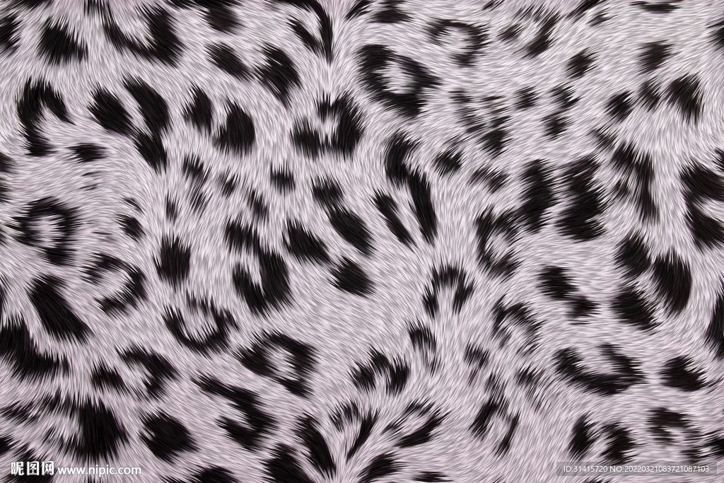 豹纹图案纹理