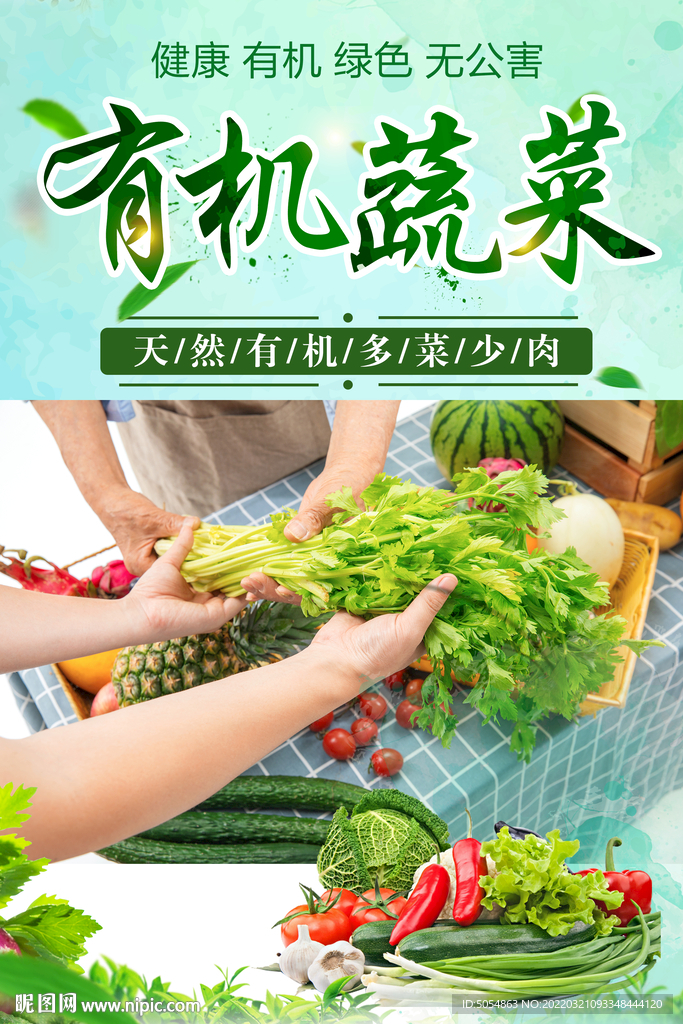 有机蔬菜宣传海报
