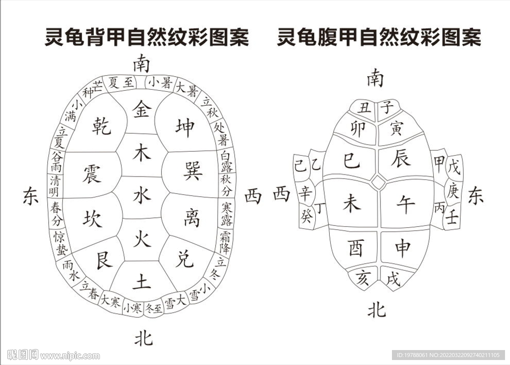 灵龟背甲腹甲自然纹理二十四节气