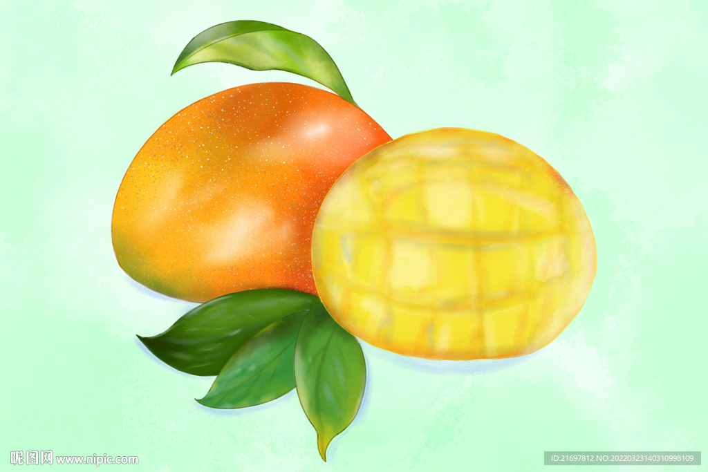手绘水果芒果