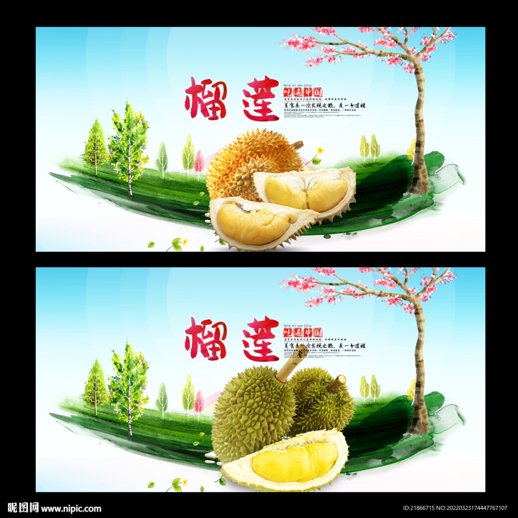 榴莲