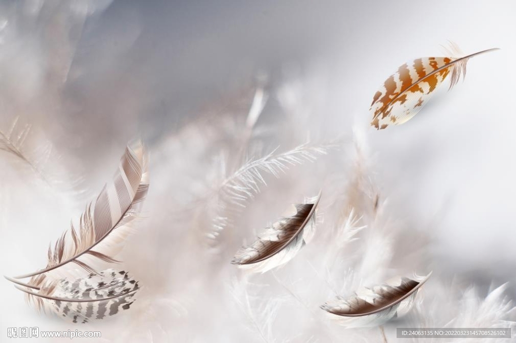 北欧现代羽毛背景墙