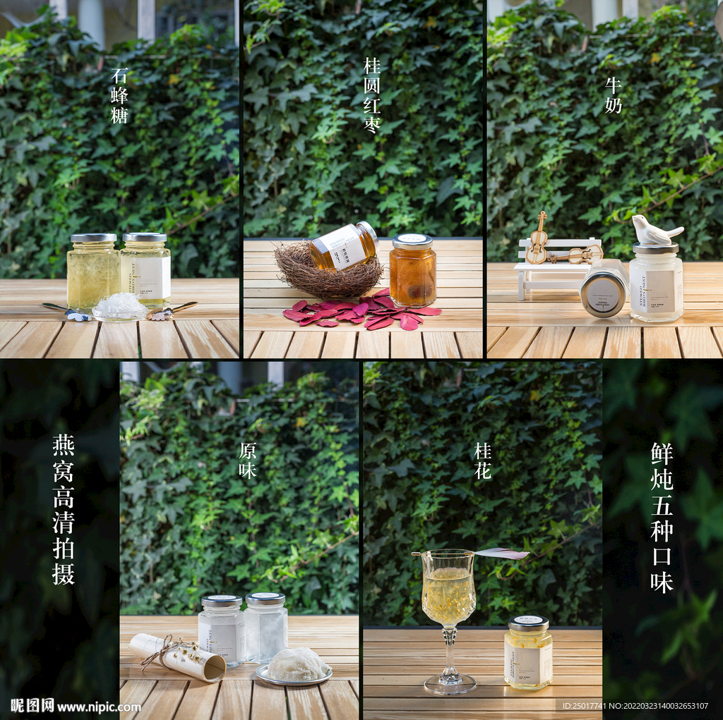 燕窝 摄影
