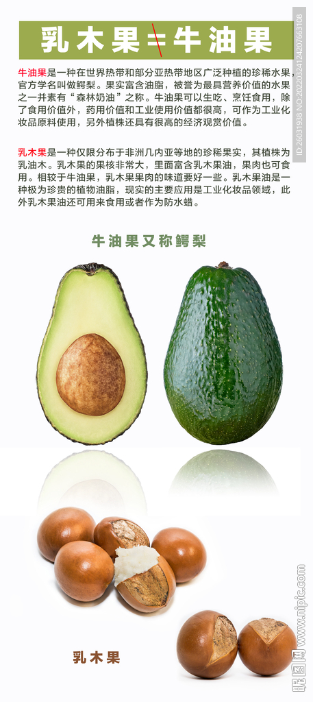 乳木果和牛油果区别