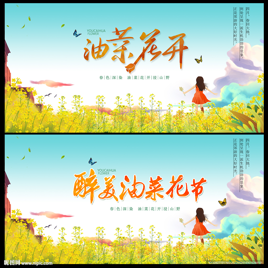 油菜花节