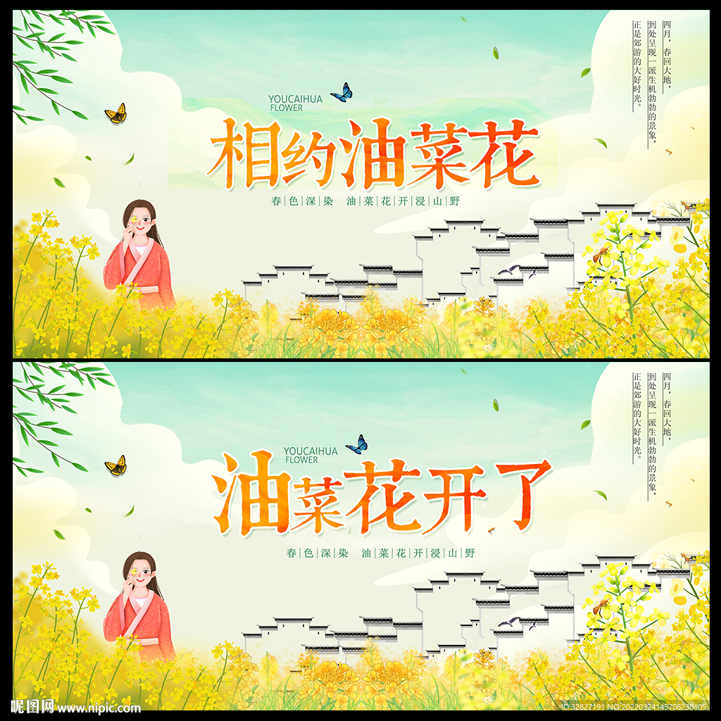 油菜花