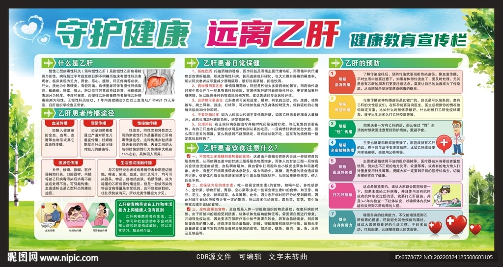 预防乙肝宣传栏