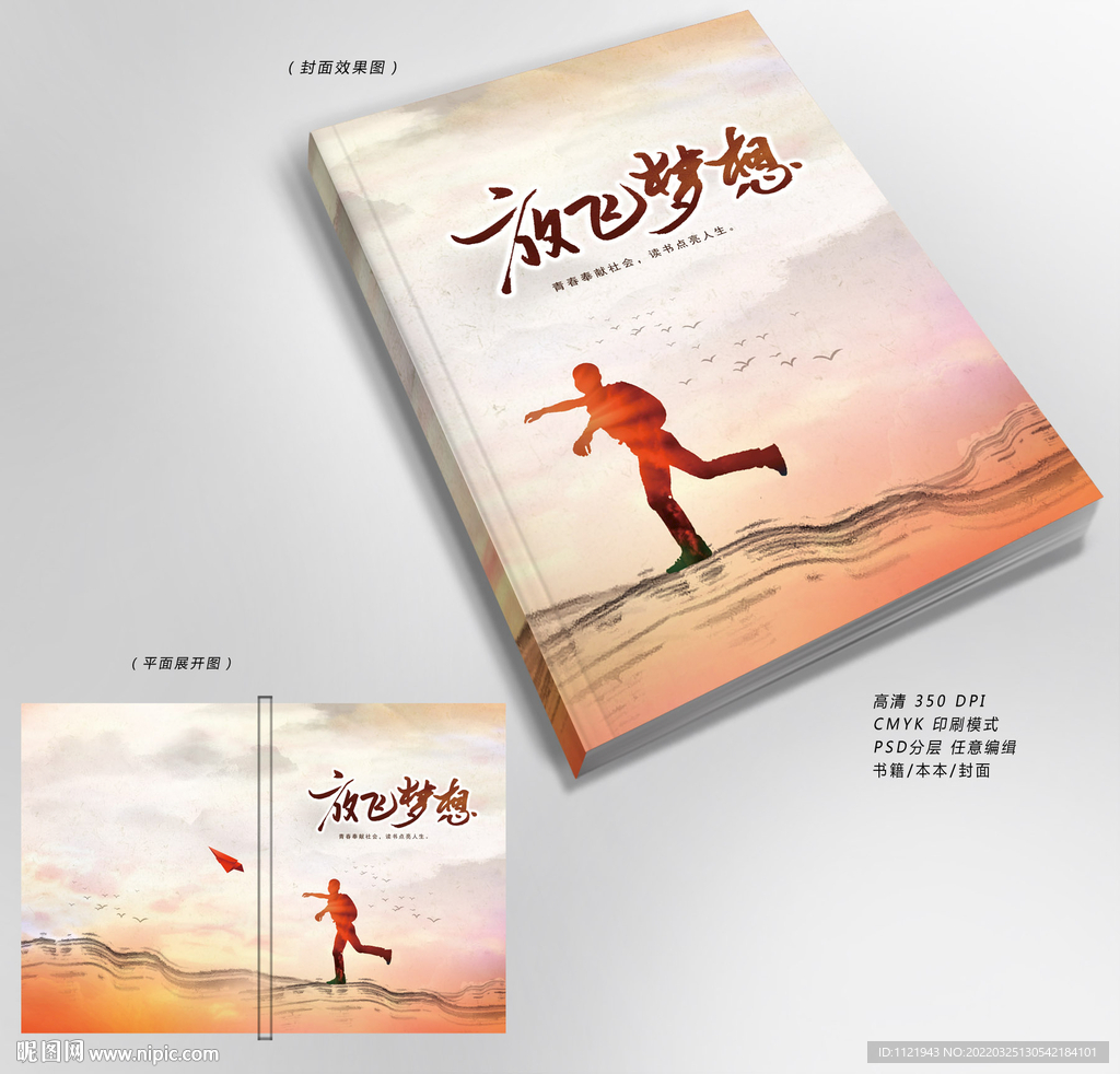 放飞梦想封面
