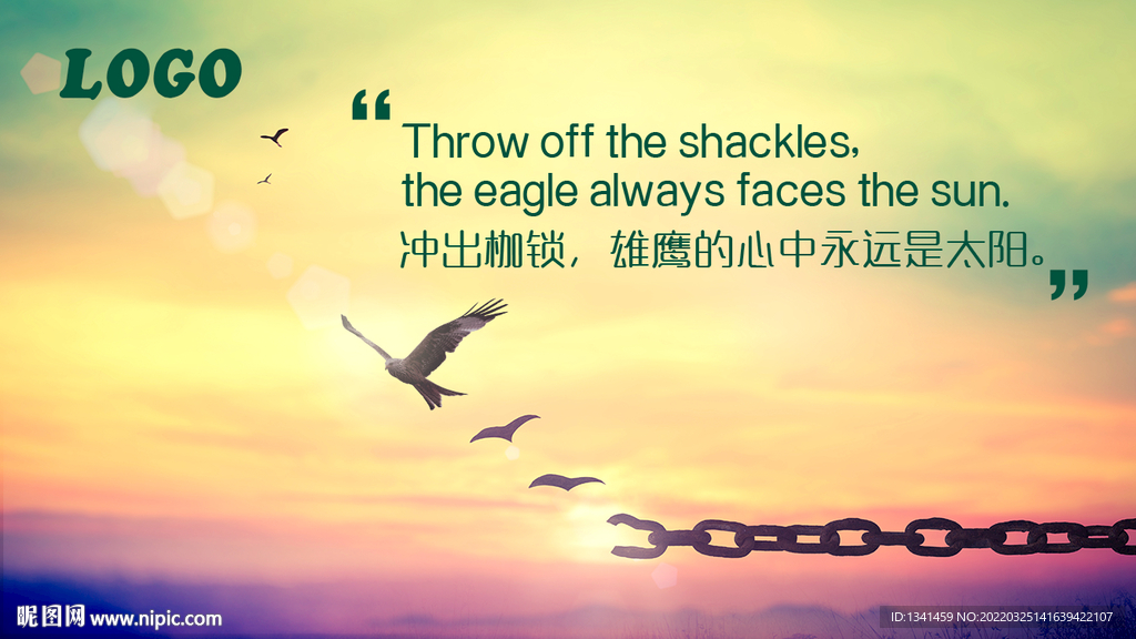 雄鹰Banner海报