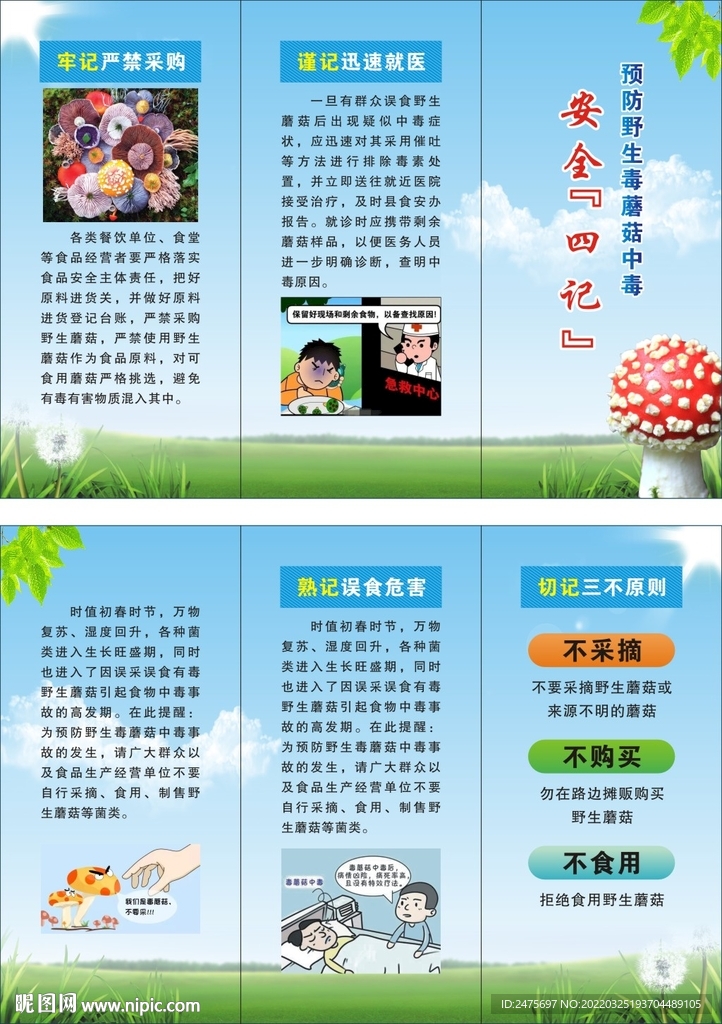 毒蘑菇