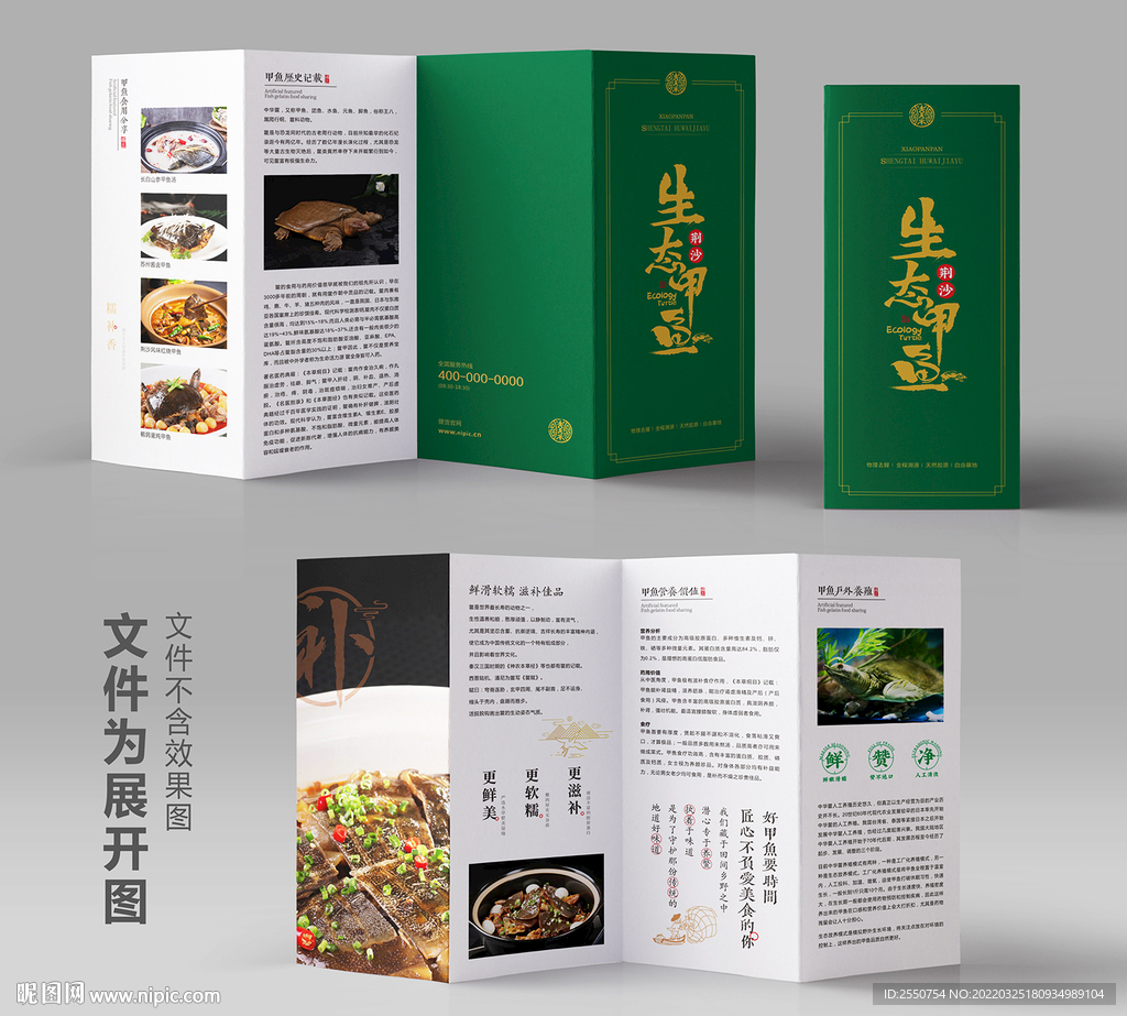甲鱼广告折页