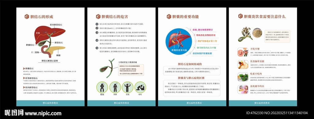肝胆外科胆囊结石科普宣教展板