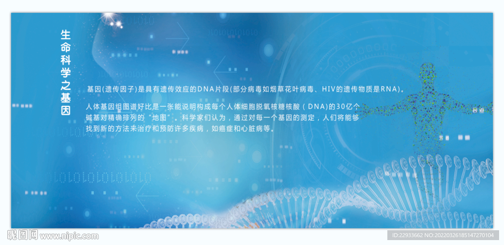 生命科学之基因