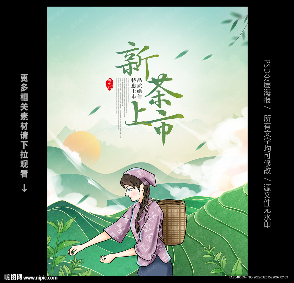 新茶上市