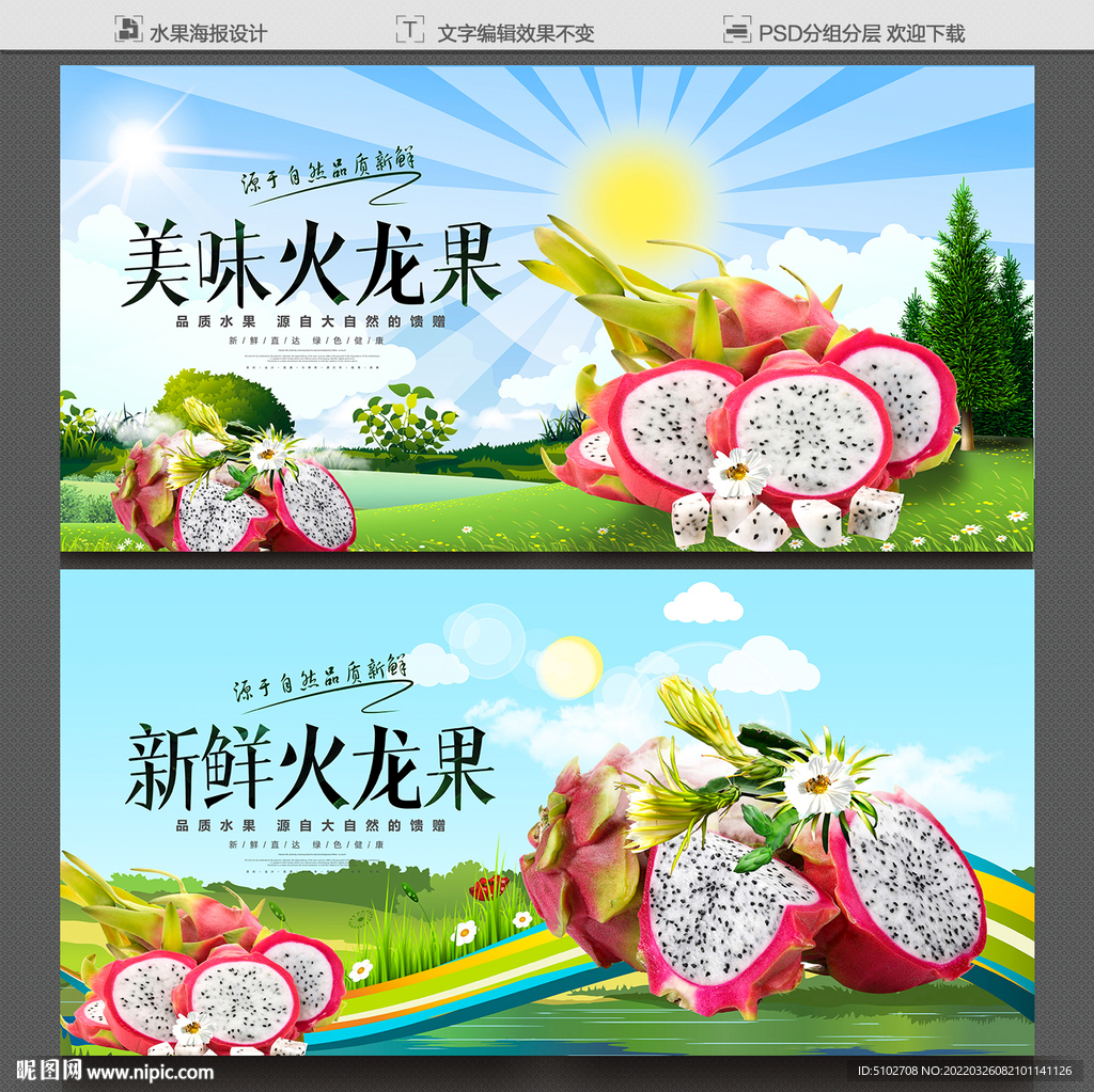 火龙果