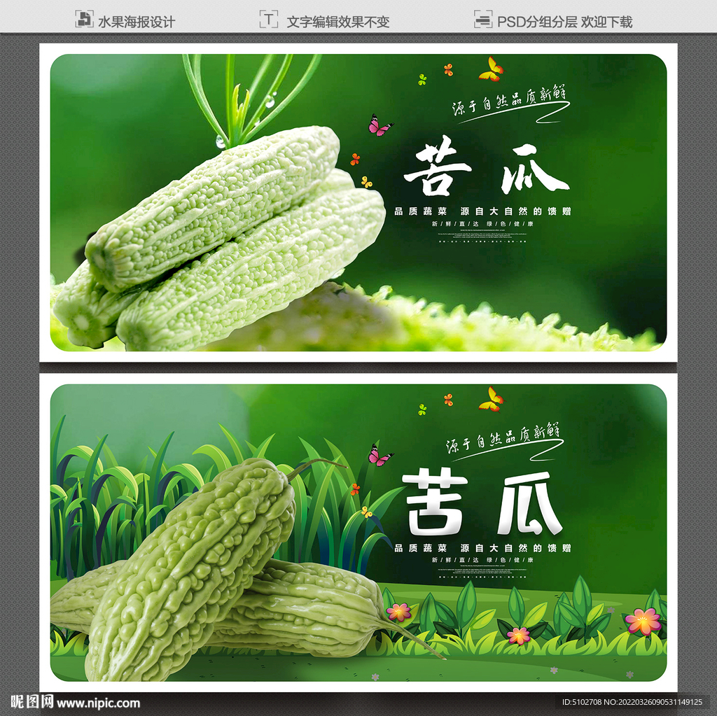 苦瓜