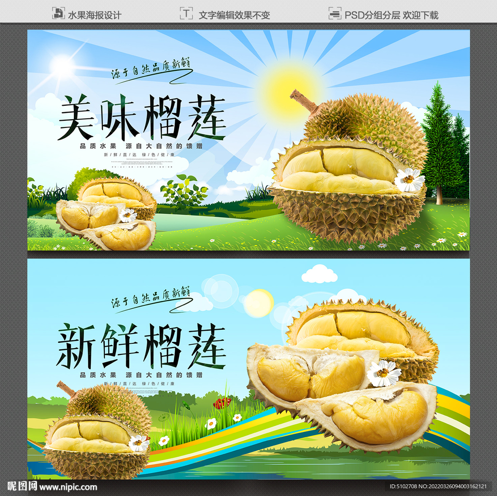 榴莲海报