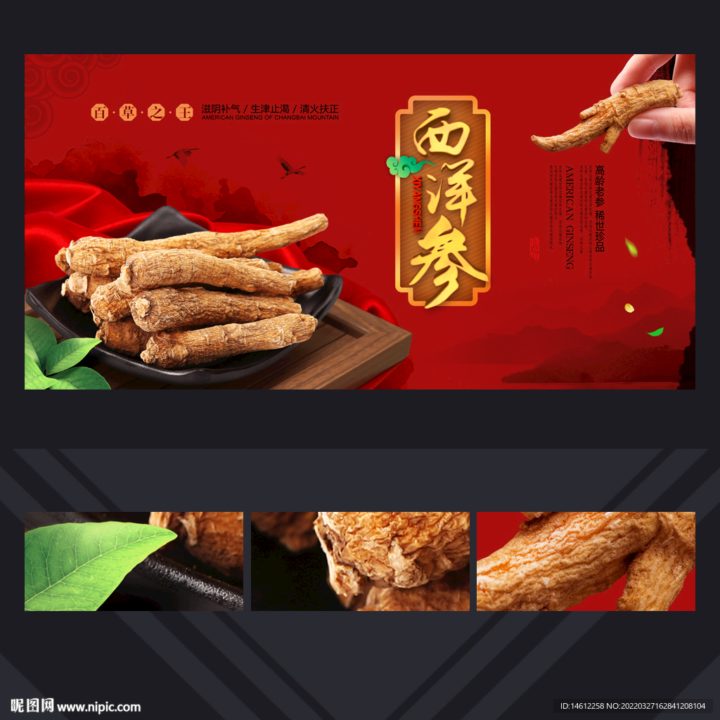 西洋参