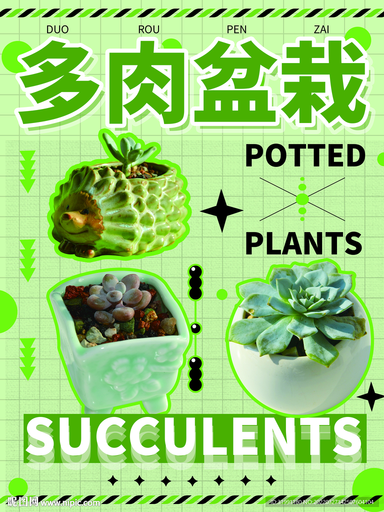 盆栽海报
