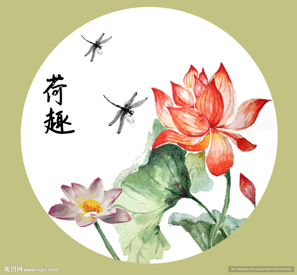 荷花