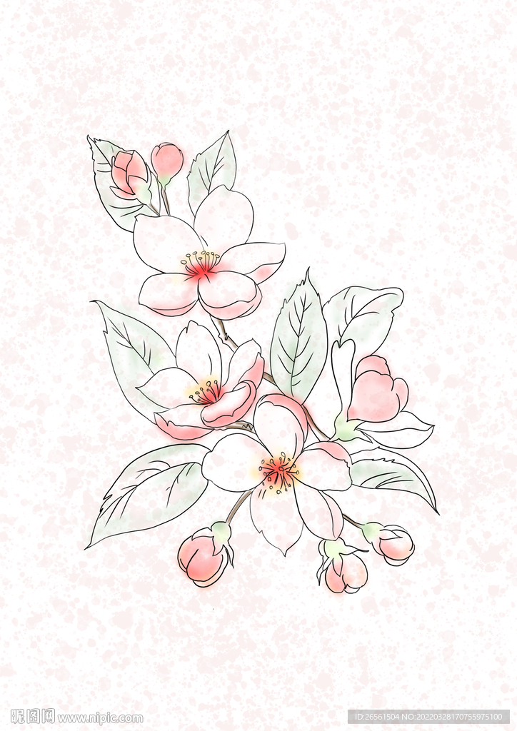 桃花