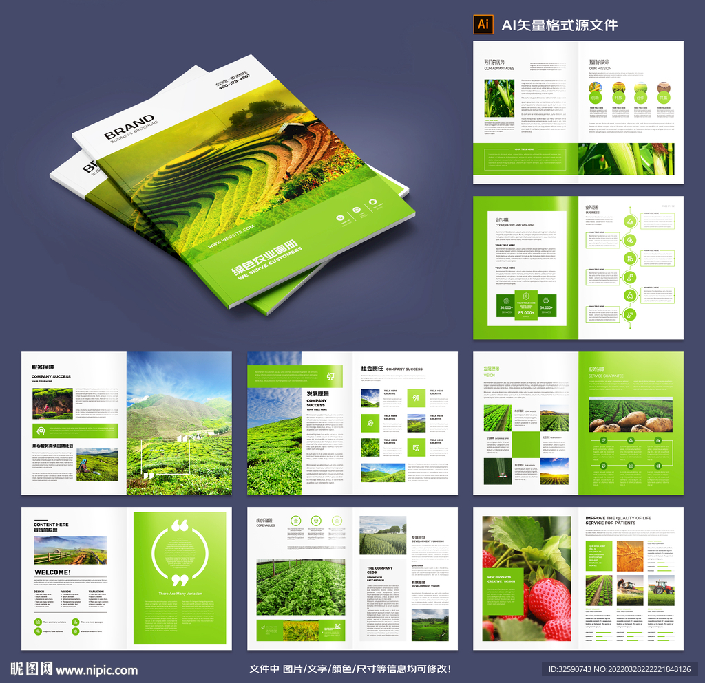 绿色食品画册模板