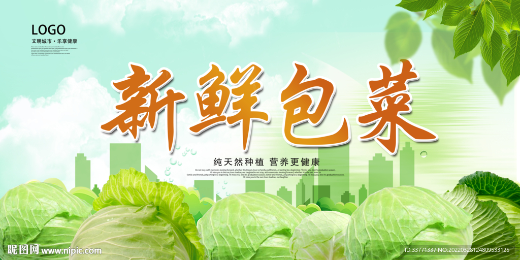 新鲜包菜