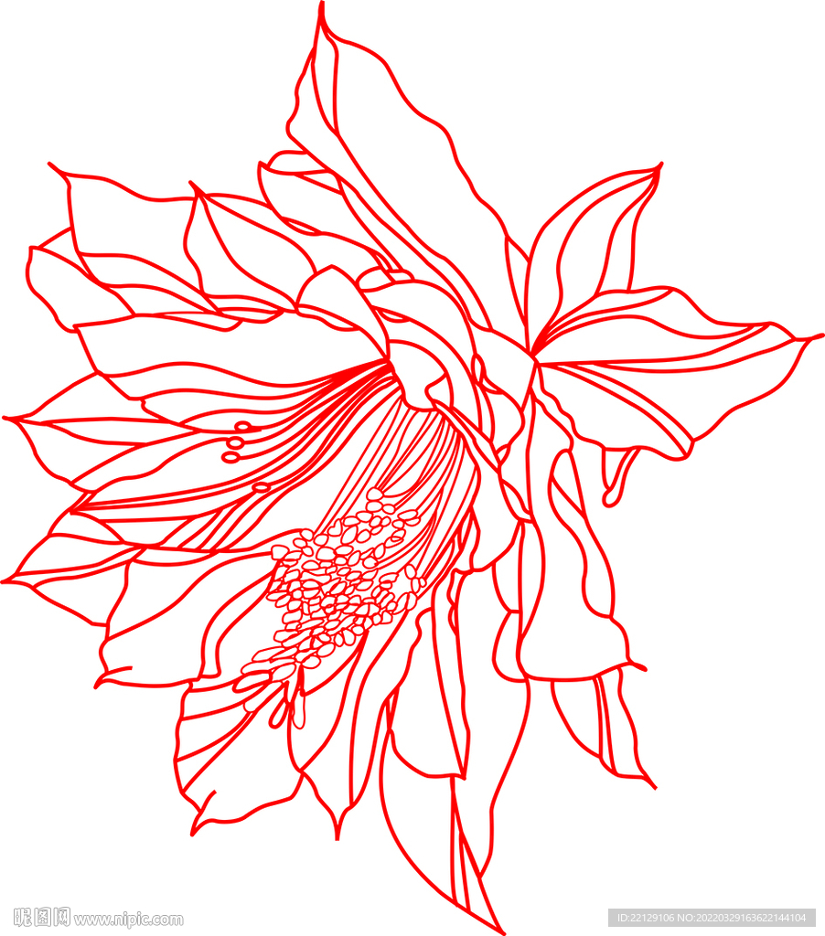 花线条图
