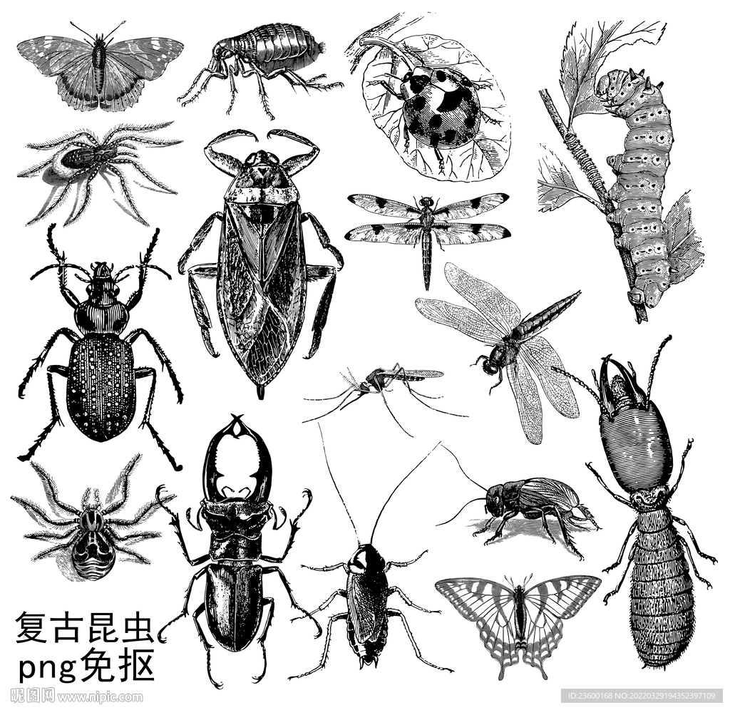 复古昆虫