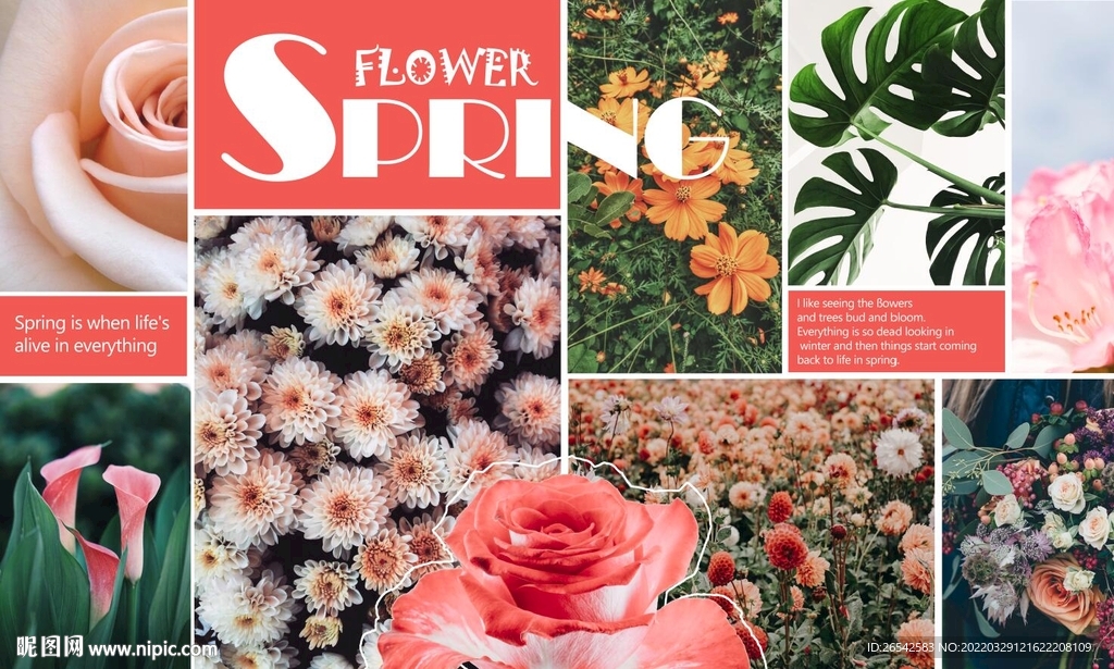 春天鲜花海报
