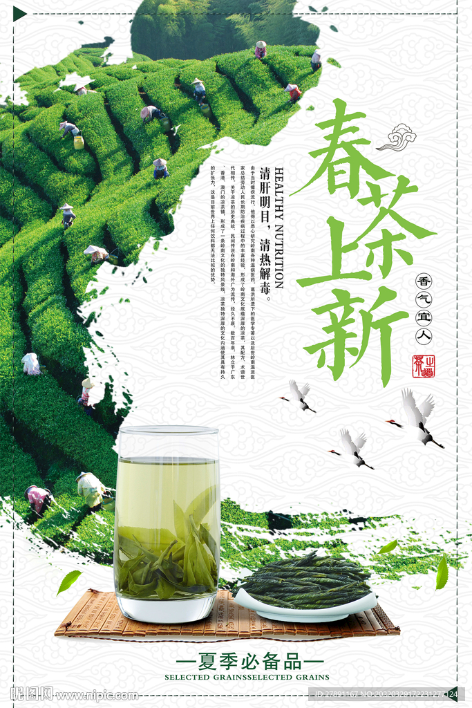  春茶上新茶叶海报