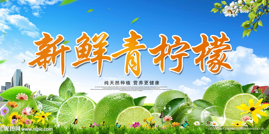 新鲜青柠檬