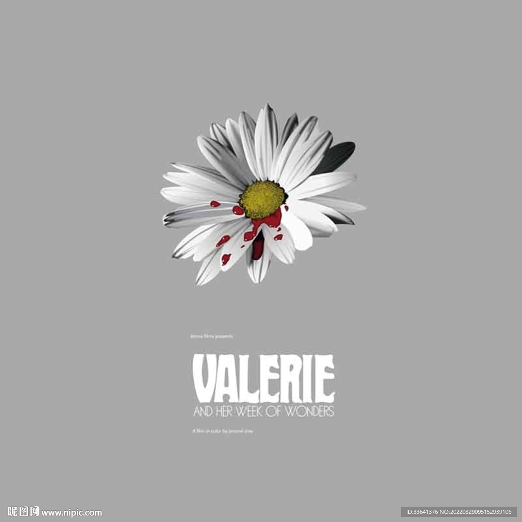 矢量花瓣T恤图案印花