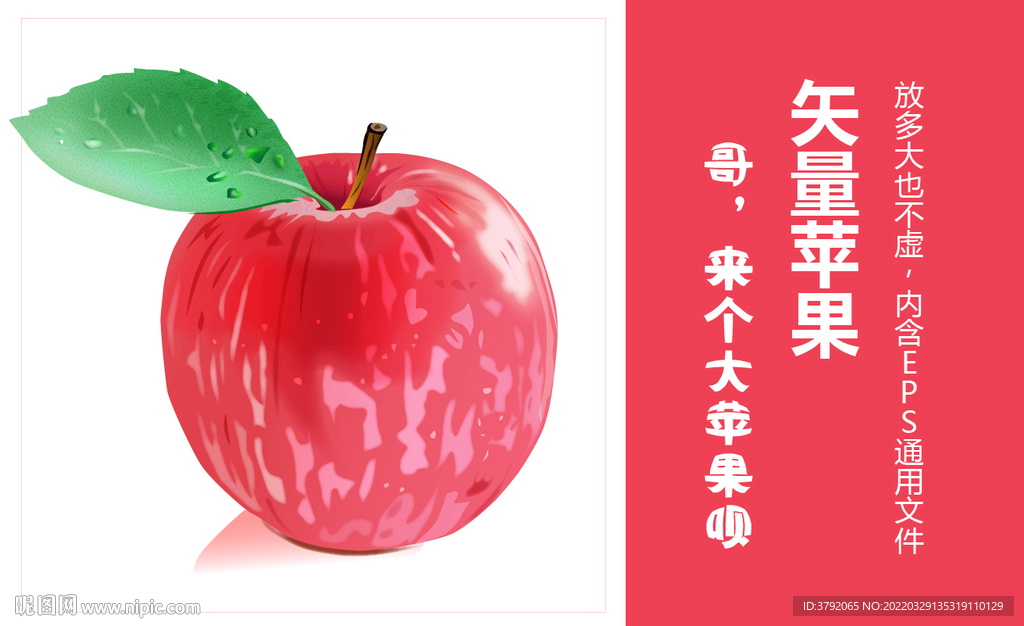苹果