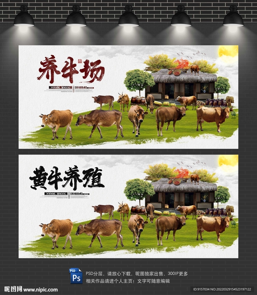 黄牛