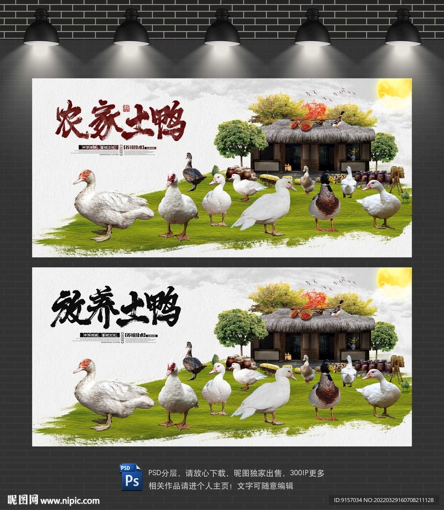 土鸭