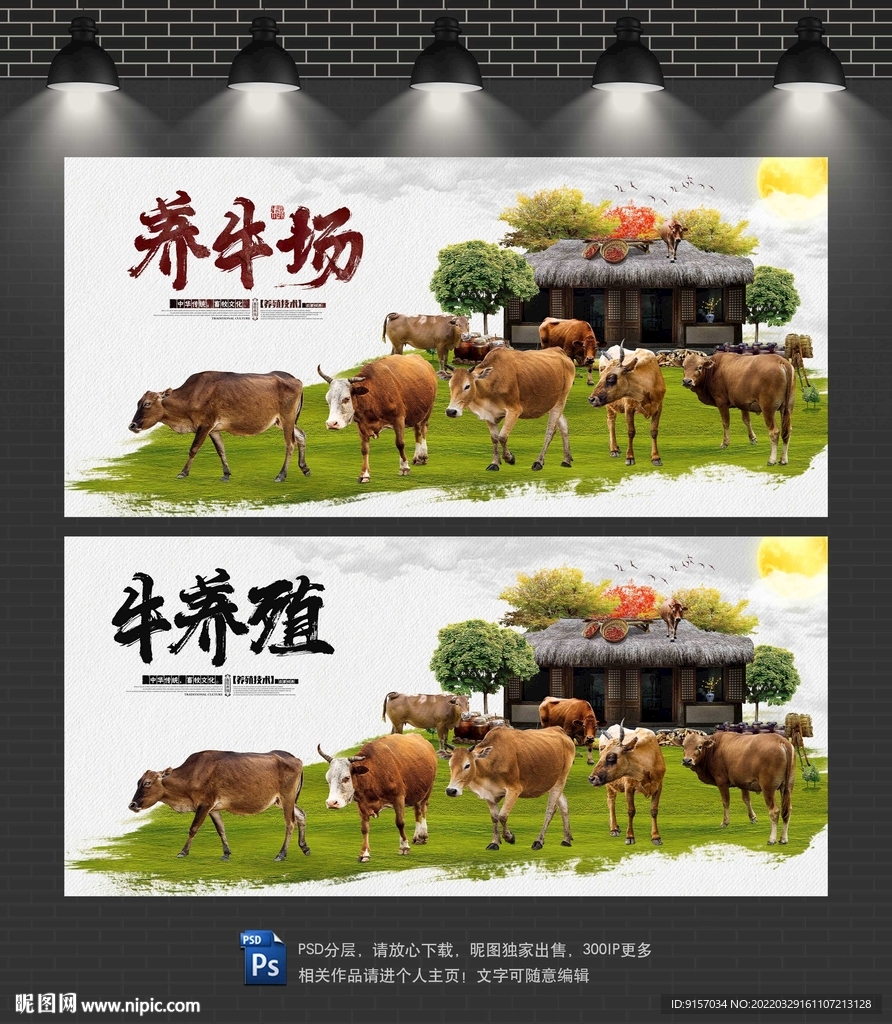 养牛场